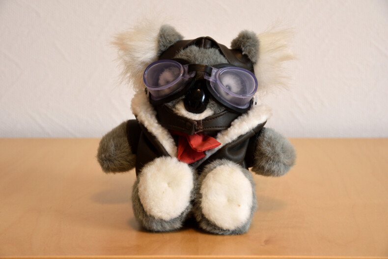 de co-pilot is een koala met pilotenjas en bril